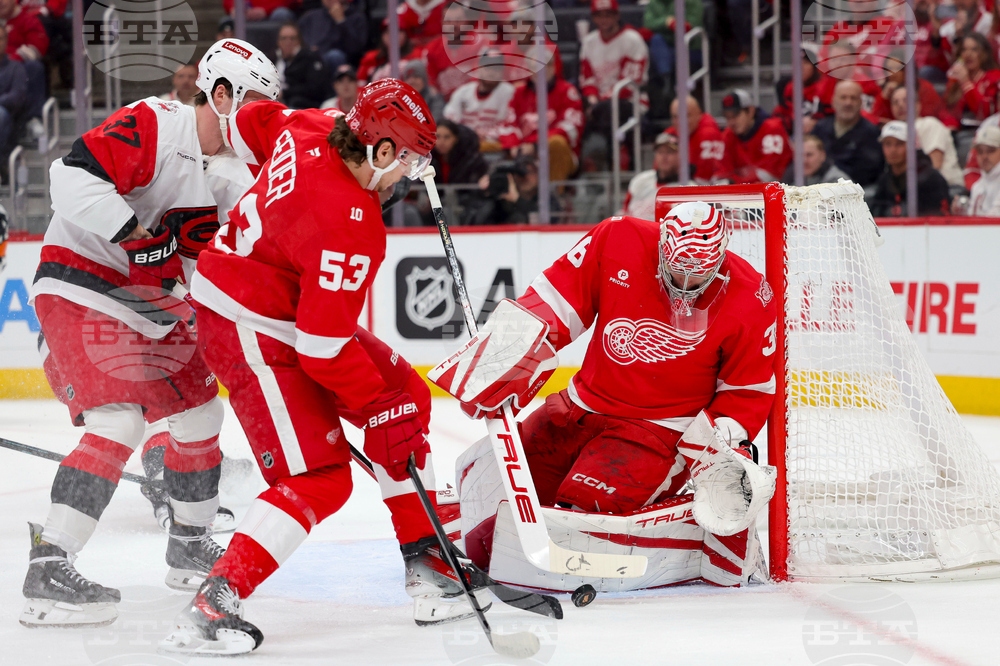 Hurricanes Red Wings Hockey
