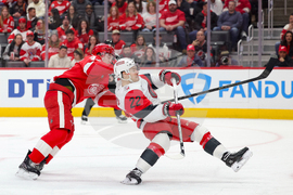 Hurricanes Red Wings Hockey