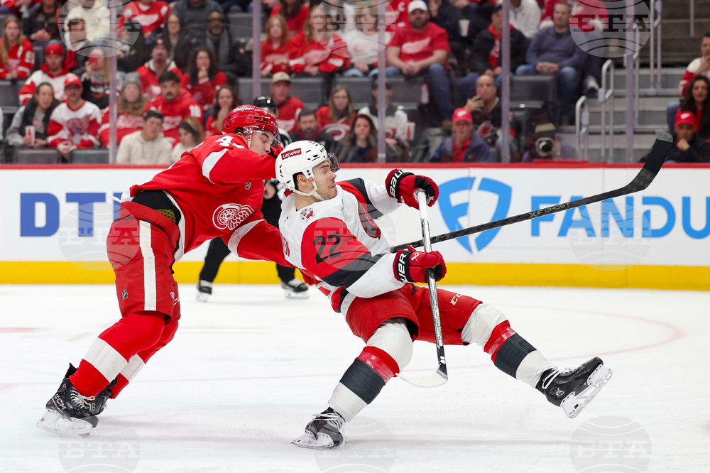 Hurricanes Red Wings Hockey