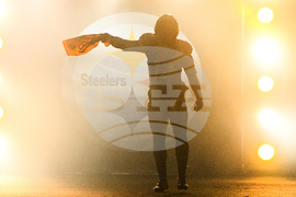 Texans Steelers Football