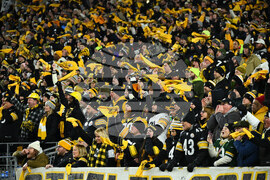 Texans Steelers Football