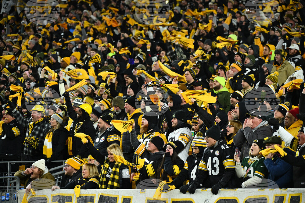 Texans Steelers Football