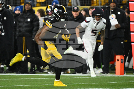 Texans Steelers Football