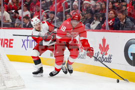 Hurricanes Red Wings Hockey