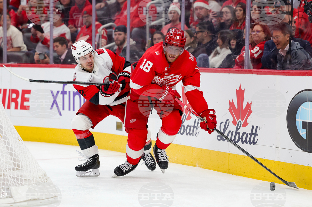 Hurricanes Red Wings Hockey