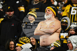 Texans Steelers Football