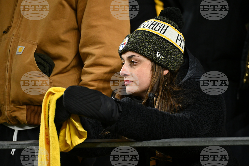 Texans Steelers Football