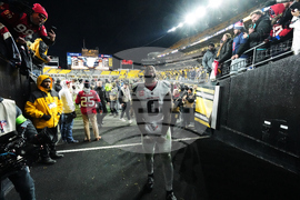 APTOPIX Texans Steelers Football