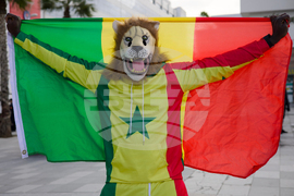 Africa-World Cup-Travel Ban