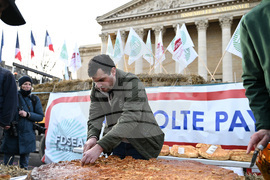 France Farmers Protest