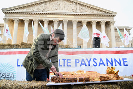 France Farmers Protest