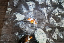 Троян - Център за подкрепа на деца и младежи с увреждания - високотехнологичен интерактивен под