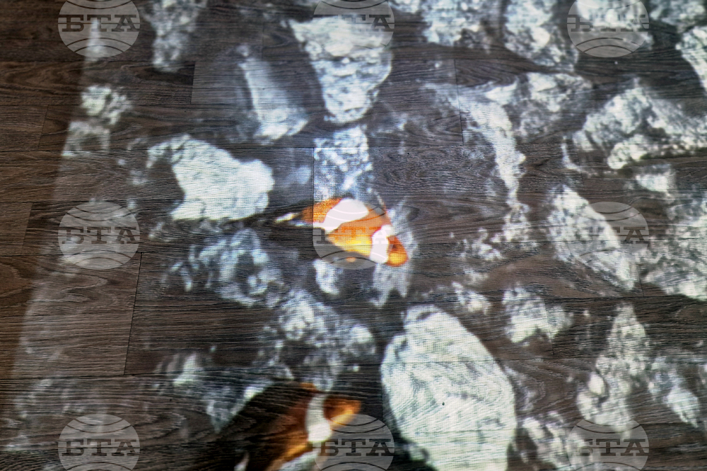 Троян - Център за подкрепа на деца и младежи с увреждания - високотехнологичен интерактивен под