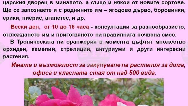 Ботаническата градина на БАН ще проведе ежегодното си събитие "Азалии и рододендрони - аристократите сред растенията"