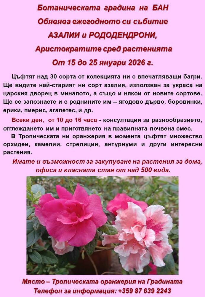 Ботаническата градина на БАН ще проведе ежегодното си събитие "Азалии и рододендрони - аристократите сред растенията"