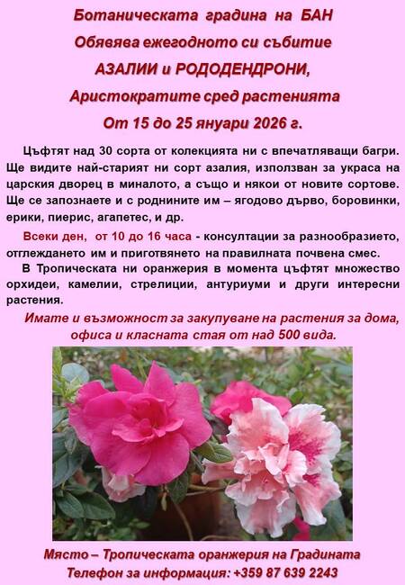 Ботаническата градина на БАН ще проведе ежегодното си събитие "Азалии и рододендрони - аристократите сред растенията"