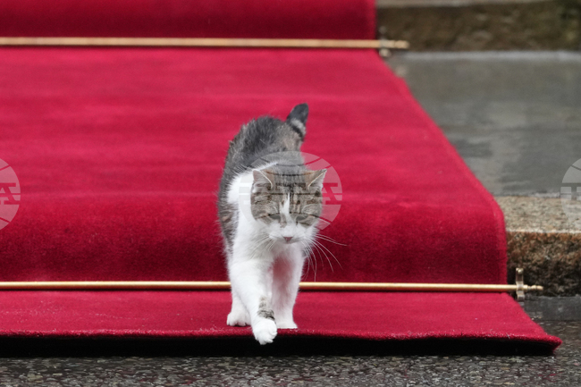 APTOPIX Britain Poland