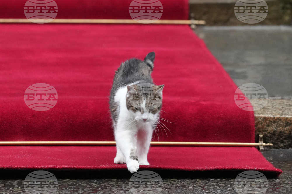 APTOPIX Britain Poland