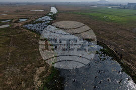 India Community Fishing