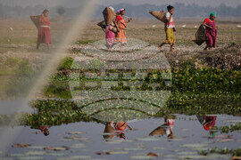India Community Fishing
