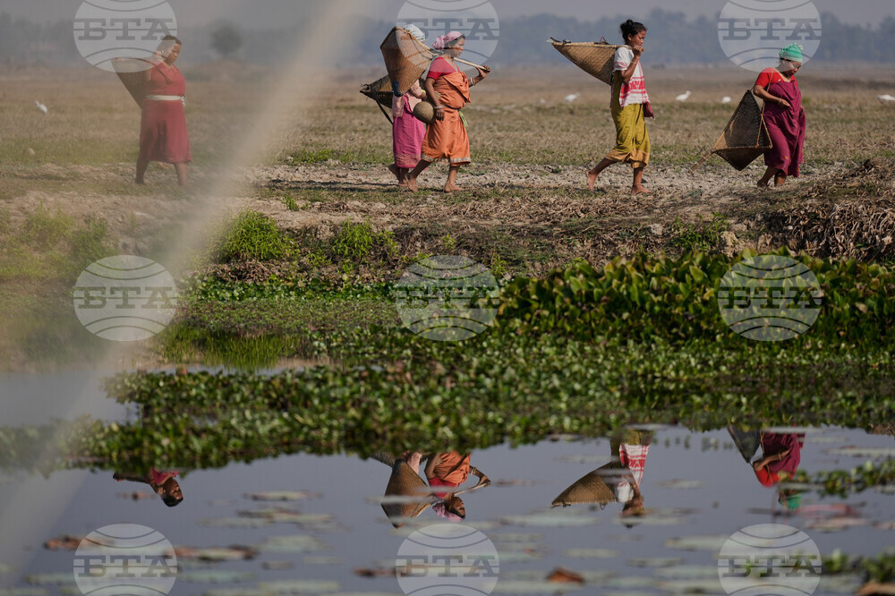India Community Fishing