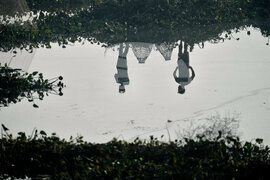India Community Fishing