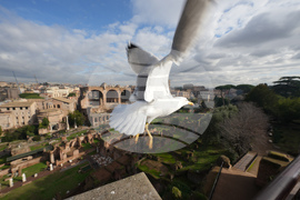 APTOPIX Italy Daily Life