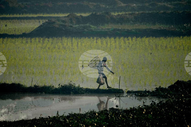 APTOPIX India Community Fishing