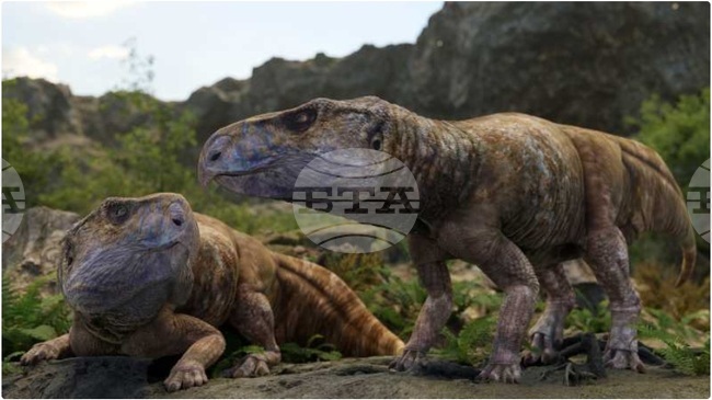 Аджерпрес: Проучване с участието на Букурещкия университет показва, че през късната креда в Европа са бродили рогати динозаври