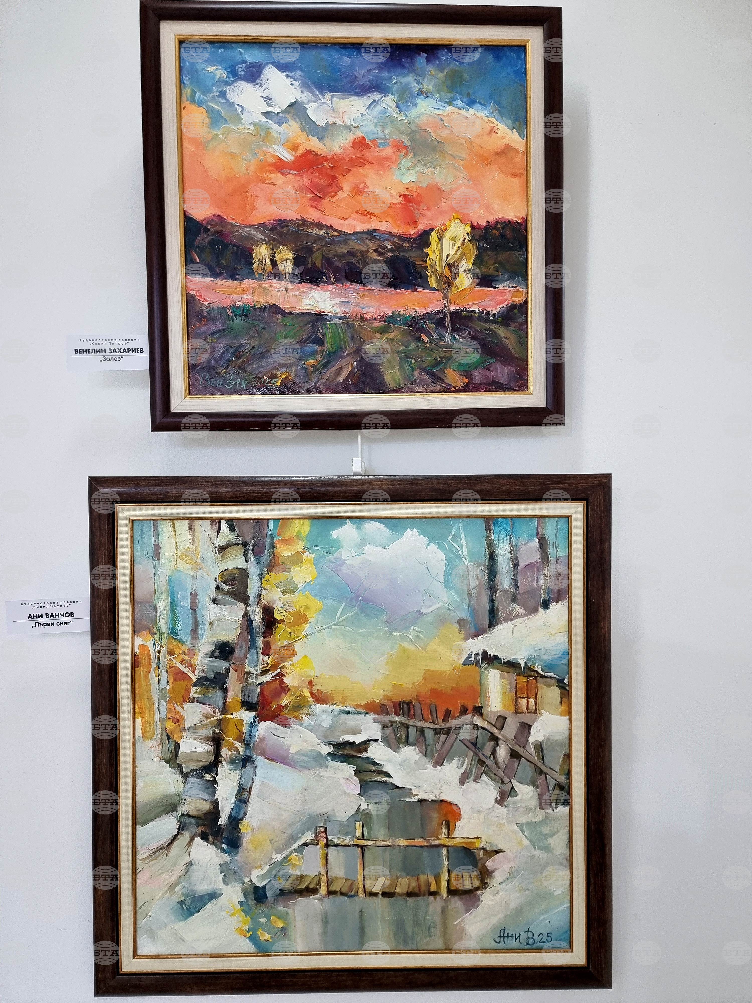 Монтана -  галерия „Кирил Петров“ - изложба