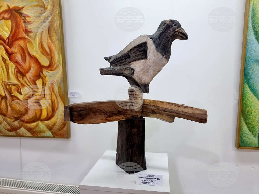 Монтана -  галерия „Кирил Петров“ - изложба