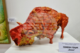 Монтана -  галерия „Кирил Петров“ - изложба