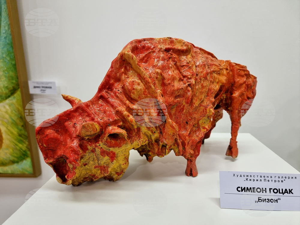 Монтана -  галерия „Кирил Петров“ - изложба