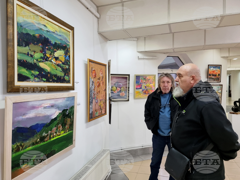 Монтана -  галерия „Кирил Петров“ - изложба