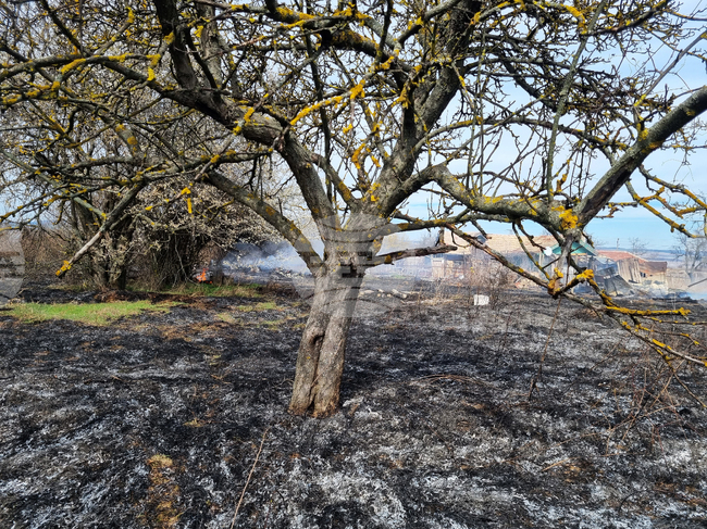 Ръст на пожарите в сектор „Горско стопанство“ отчитат през миналата година в Търговищка област