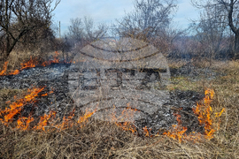 Търговище - пожар - вилна зона