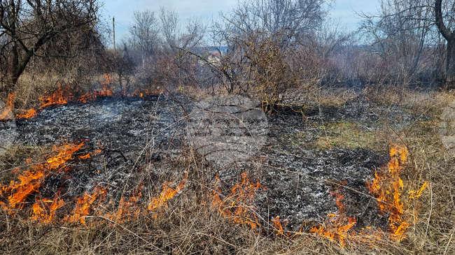 От началото на юни в област Търговище са възниквали четири пожара в сухи треви и храсти