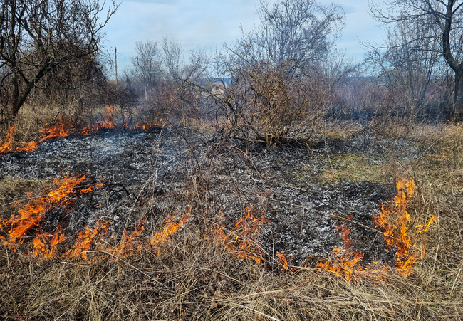 От началото на март служители на пожарникарите в Благоевгадско са ликвидирали повече от сто пожара в земеделски земи