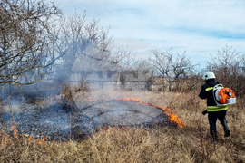 Търговище - пожар - вилна зона