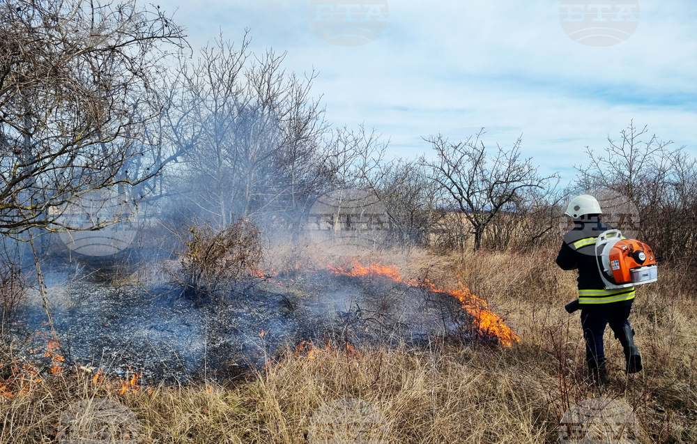 Търговище - пожар - вилна зона