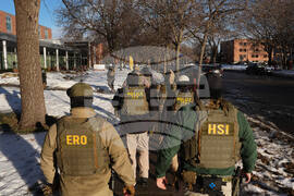 Immigration Enforcement Minnesota