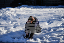 Immigration Enforcement Minnesota