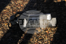 Immigration Enforcement Minnesota