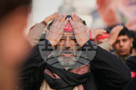 Iraq Shiite Pilgrims