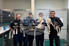 Puppy Overdose Rescue