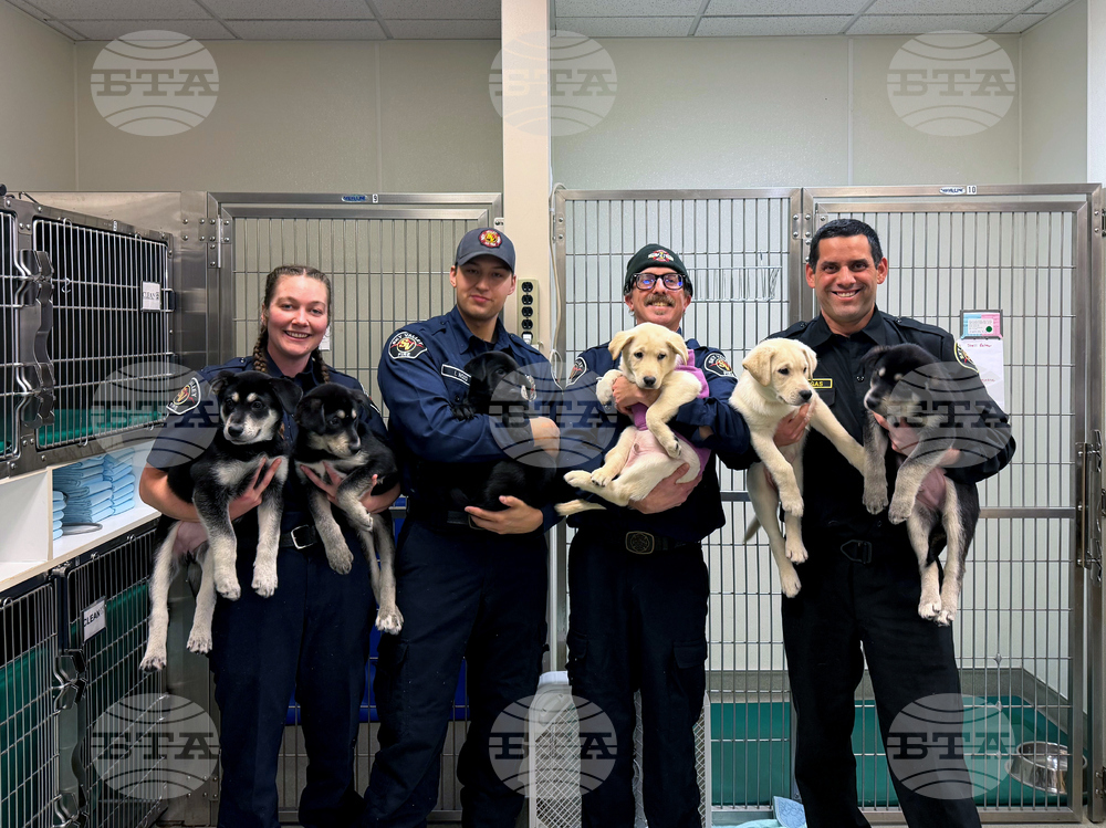 Puppy Overdose Rescue