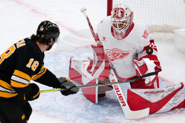 Red Wings Bruins Hockey