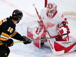 Red Wings Bruins Hockey
