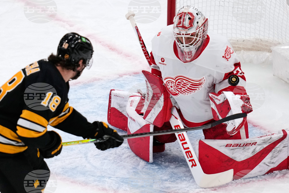 Red Wings Bruins Hockey