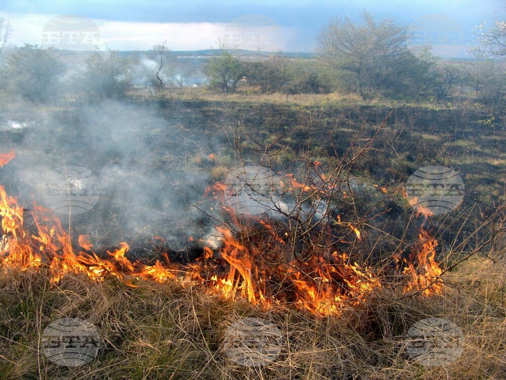 Девет пожара в треви и отпадъци са гасени вчера в Монтанско